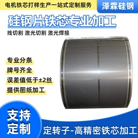 其他硅钢;无取向硅钢;电动机配件