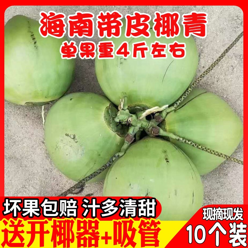 Hainan fresh green coconut egg coconut king coconut green with skin milk coconut treasure thick meat more water package mail whole box
