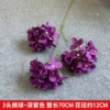 Three -headed hydrangea dark purple