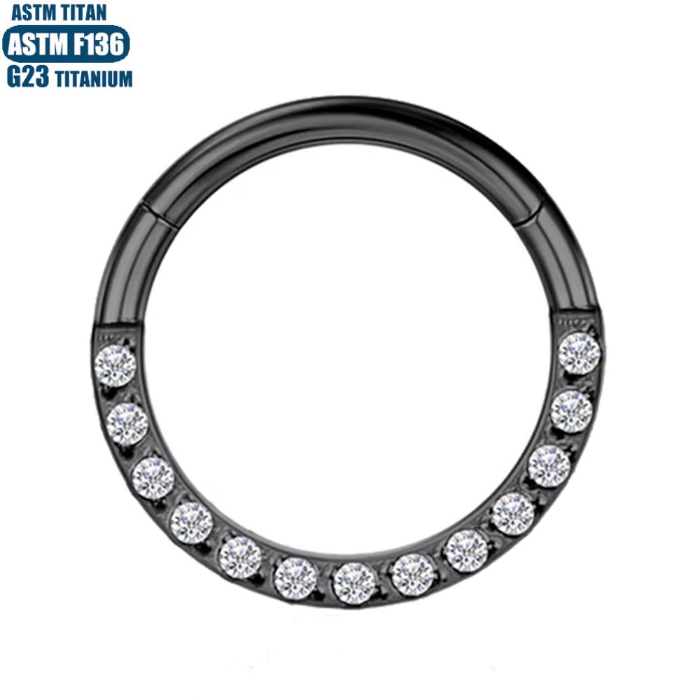 F136 Titanium Alloy Zircon Earrings CNC Seamless Ring Nose Ring Diaphragm Perforated Jewelry Ear Ring detail image 10