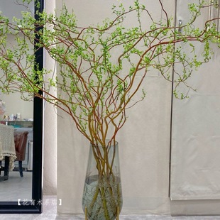 �����r��֦���F��͏dˮ��W�t�Gֲ�ﻨ���҃����Ժ��B���֧ѩ��