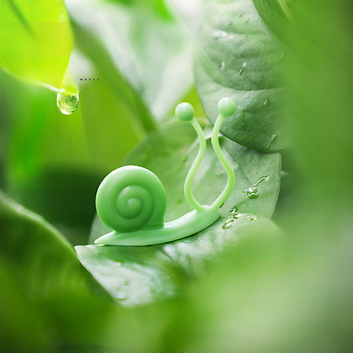 绿萝绿植爬墙固定无痕家用扣攀爬室内蔓藤植物墙上挂钩固定夹