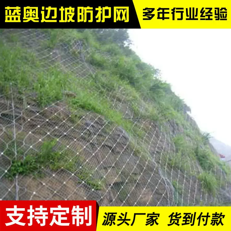 sns主动边坡防护网 客土喷播植草铁丝网 边坡绿化防滑坡防护网