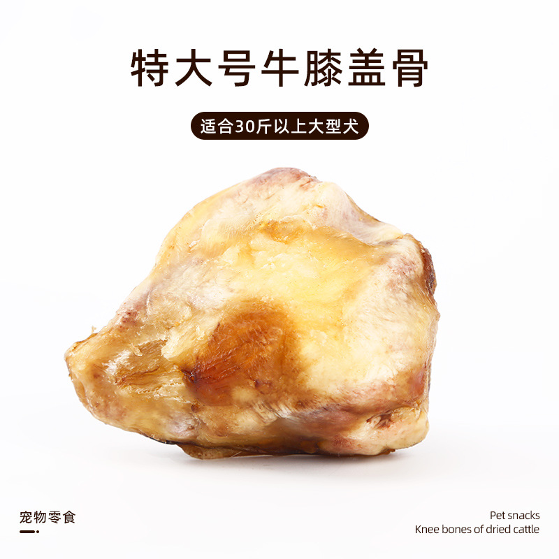 소 슬개골【XL】