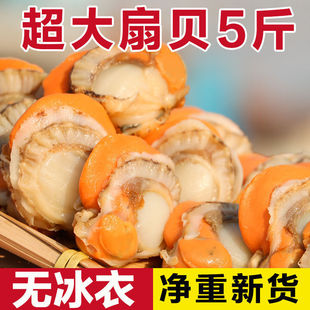 特大号扇贝肉新鲜速冻带黄冰衣海鲜鲜活冷冻野生真空包装一整箱-阿里巴巴