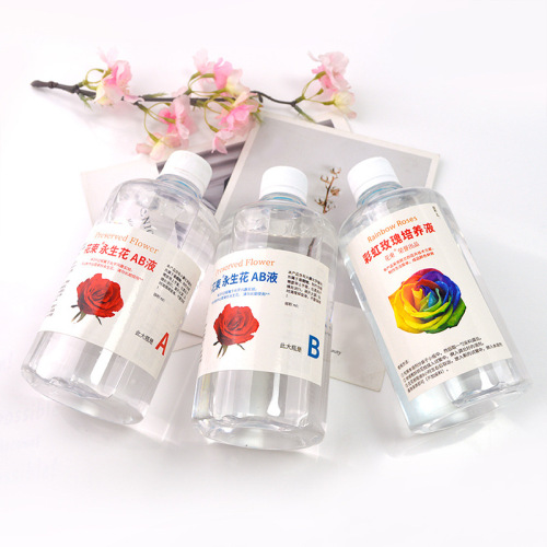 Floral Cambodian Preserved Flower AB Liquid DIY Flower Making Liquid Pigment Preserved Flowers Colorful Roses Rainbow Roses