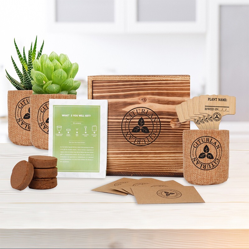 Dragon Boat Festival Amazon Biodegradable Flower Pot Set Garden Planting Succulent Kit Plant Growth Bags Manufacturer Wholesale