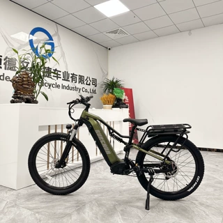 Burchda山地式电动自行车48V锂电油刹双人电助力自行车