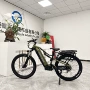 助力双人山地电动自行车