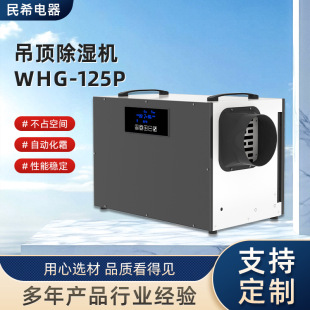 Wholesale Ceiling-Mounted Industrial Dehumidifier Whg-125P Duct-Type High-Power Workshop Industrial Dehumidifier Basement