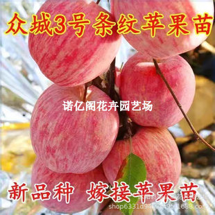 �����籊��һ̖��̖��̖�O������޽����ϱ����Nֲ�O���箔��Y��