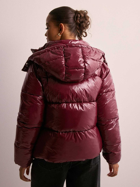winter solid color elite down jacket for leisure with hood