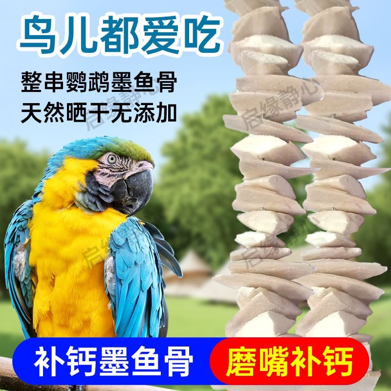 Parrot, Peony, Cockatiel Snacks, Tiger Skin Utensils, Bird Food, Teething Squirrel, Calcium Toy, Bone Skewer Bag
