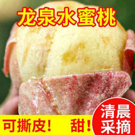 四川龙泉驿水蜜桃新鲜桃子放软可撕皮应季水果甜桃子软桃新鲜蜜桃