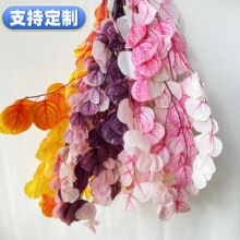 永生花圆叶苹果叶真花桉树叶渐变色亚马逊跨境云南厂家直供