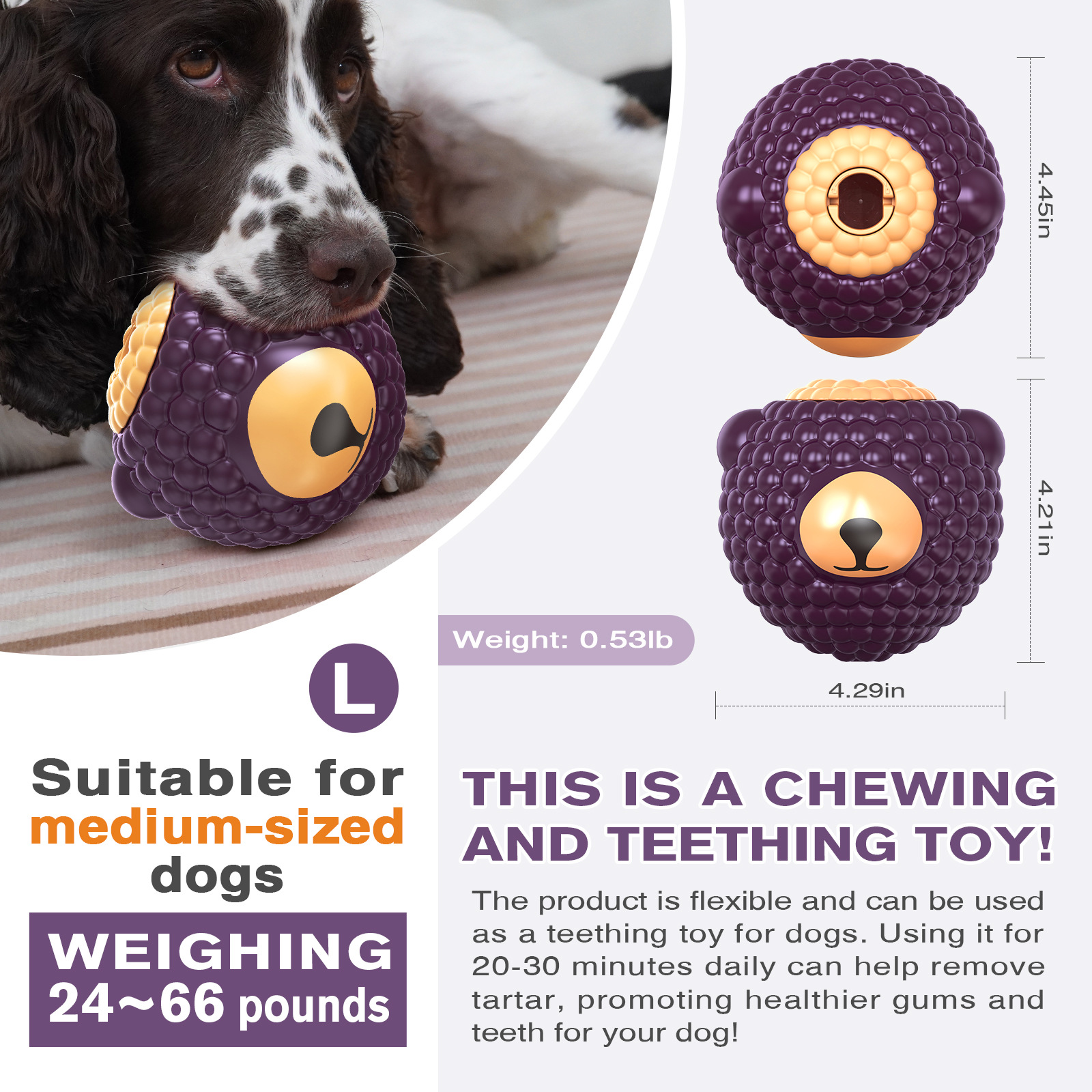 Raspberry Bear Treat-Dispensing Dog Toy with TPR+ABS Bite-Resistant Design