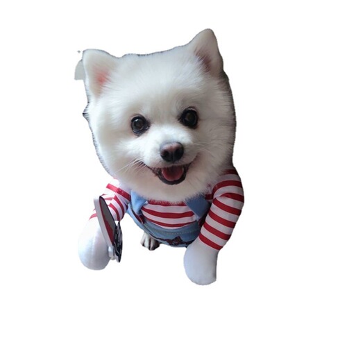Fatal doll pet funny spoof dog with knife clothes cat dog funny creative cat with knife creative