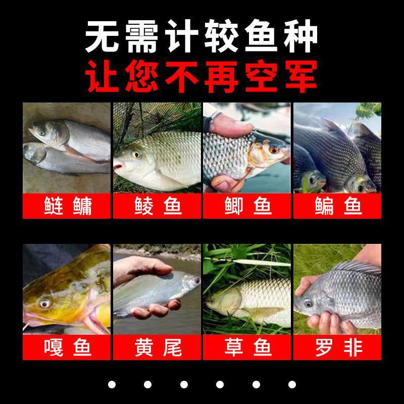 钓鱼神器黑科技全自动水下诱鱼灯超声波诱鱼器探鱼器鲤鱼鲫鱼鲶鱼|undefined