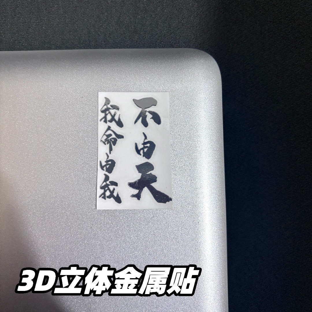 3D Metal Sticker [My destiny is mine]