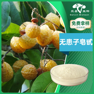 �o������߰/��40%-80% �o������ȡ���� Soapberry ˮ�� ���ջ�ԭ