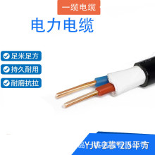 ϩ^| YJV-0.6/1kV-2о*2.5ƽ ɫ1ף