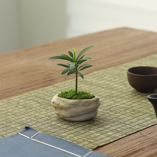 �����_�h��ָ��С���ԃ����՚��҃����泬����΢�;Gֲ�k����Ȥζ