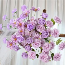 Ī��ϵ��ɫ���滨���Ļ�c���滨�ٻ���Y���T�����쾰��·������