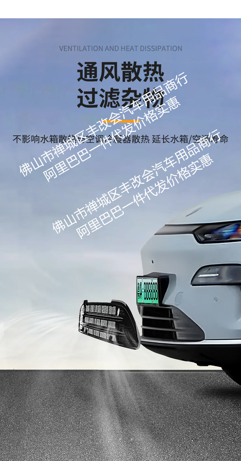 Suitable for Leapmotor C11 Integrated Welded Car Insect-Proof Net Front Grille Special Modification Decorative Strip Accessories