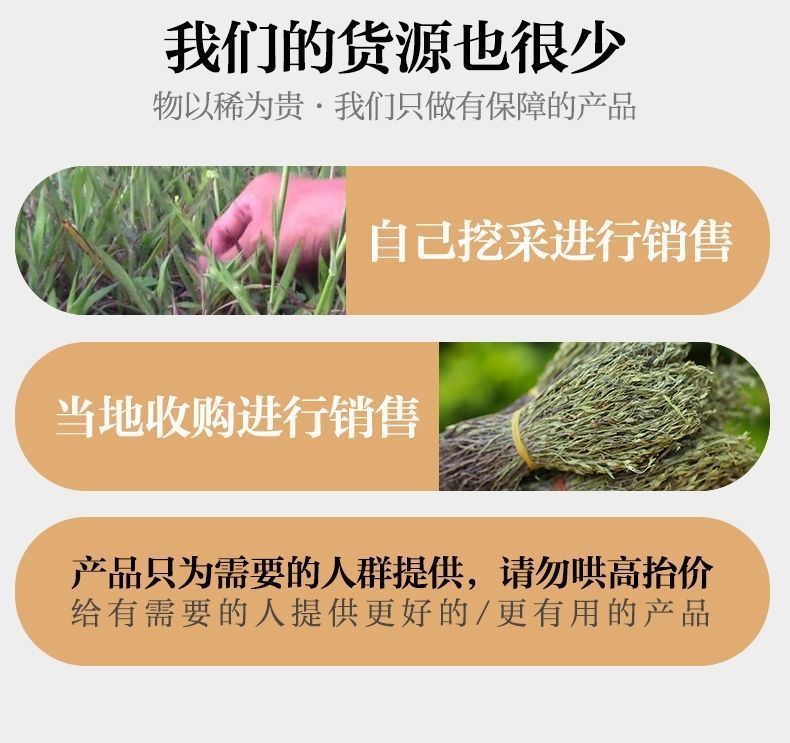 Dried Du Jin Cao 独脚金 Striga Herb Soup Pack 500g Traditional Children Appetizer Soup specifications