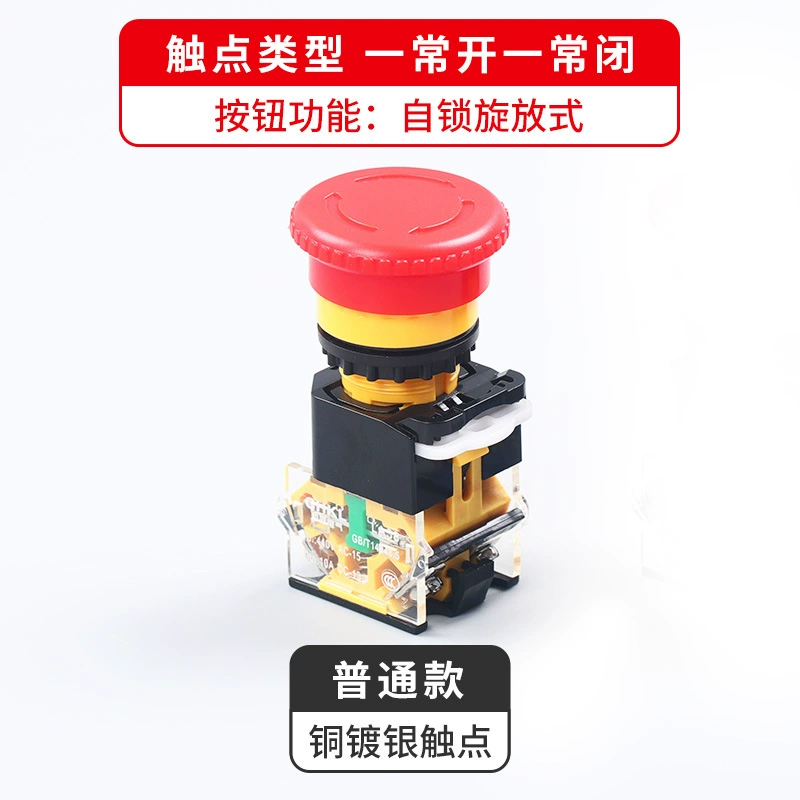 Switch key, button with clove mushrooms, 38