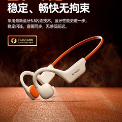 真骨传导蓝牙耳机运动型跑步专用骑行防水不入耳游泳挂耳式新款SZ