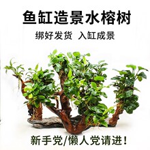 ~쾰ֲˮųľԑСB~ݸˮݶֲb