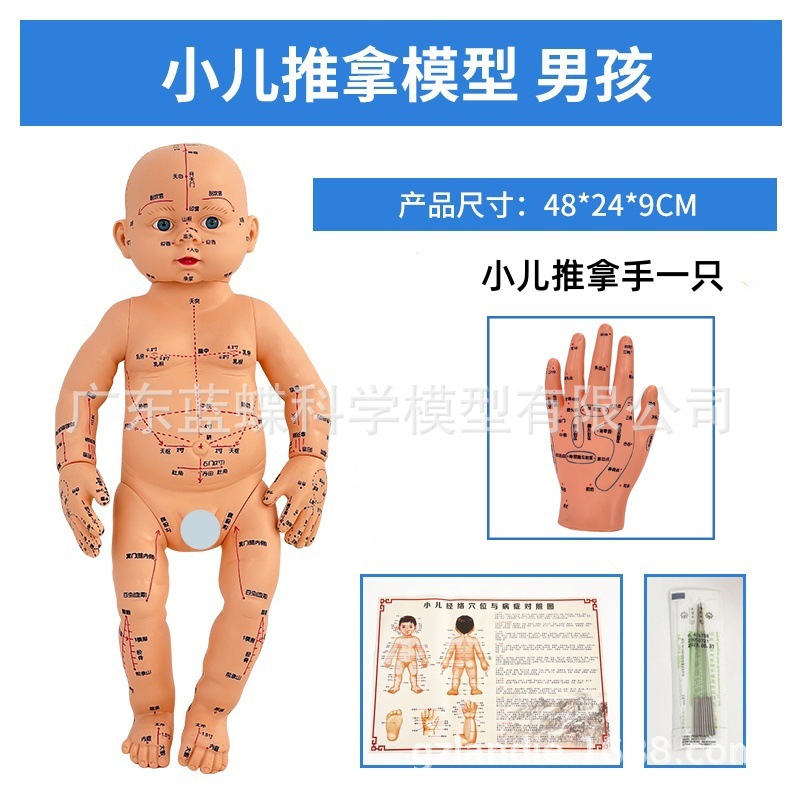 ȫ��Ѩλ���޾���ͼ��Ħ����ҽС�����ý�ѧ������ɩ��ѵ����ģ��