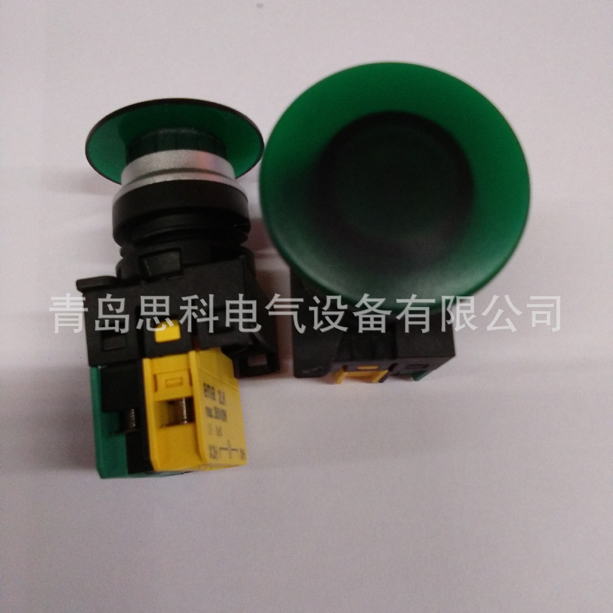 美国伊玛EMA大头带灯绿色自锁按钮开关E2P4G1A1L.A   6V