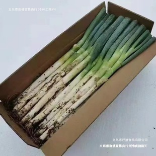 С�[��10���[�F�U���5���]�����߲�պ�uɽ�|����ë�[��ˬ���r