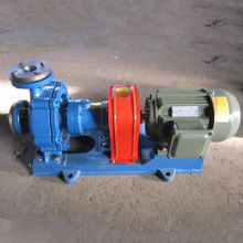 齿轮油泵华潮RY20-20-100风冷式热油泵导热油泵循环高温导热油泵