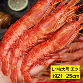 阿根廷红虾L1鲜活超特大红虾冷冻大虾4斤速冻船冻海鲜水产年货