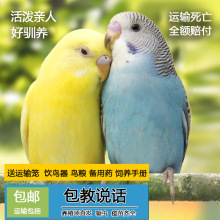 �W�^���B���ﻢƤ�W�^�fԒ���B�����B녰�С�ͼ��B���PС�B���w