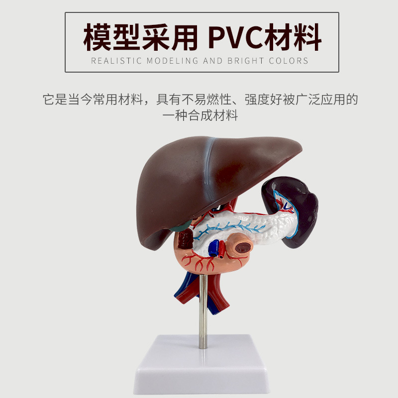 ����ʮ��ָ��ģ�� �Ρ�Ƣ��Ѫ�ܺ����ٽṹģ�� ���� Ƣ ����ģ��