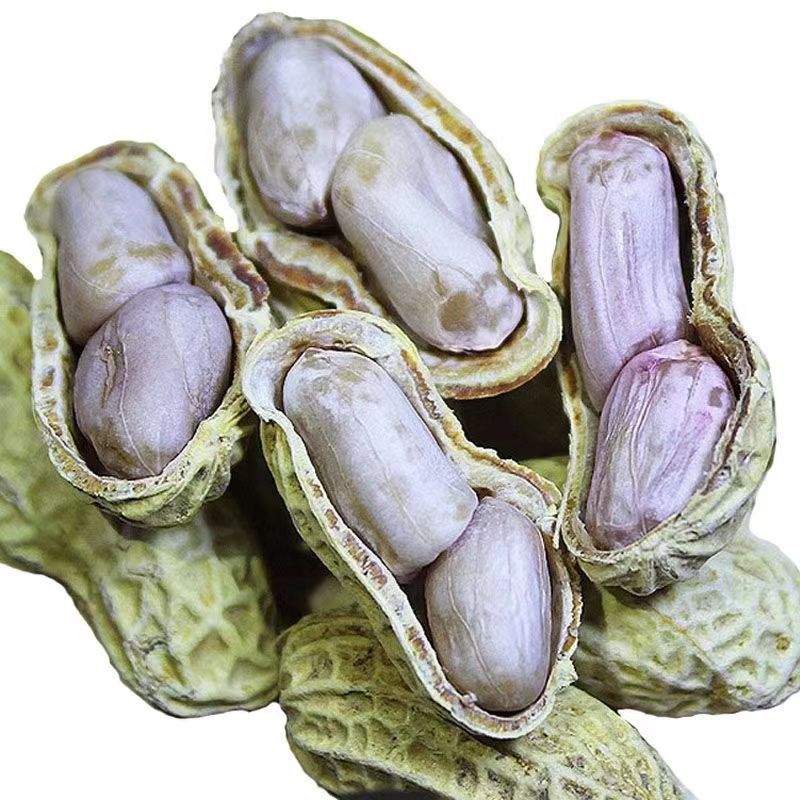 【茹でた落花生・天日干し】龍岩茹で落花生・ニンニク風味落花生・五香落花生・茹でた塩味落花生・塩干し落花生|undefined