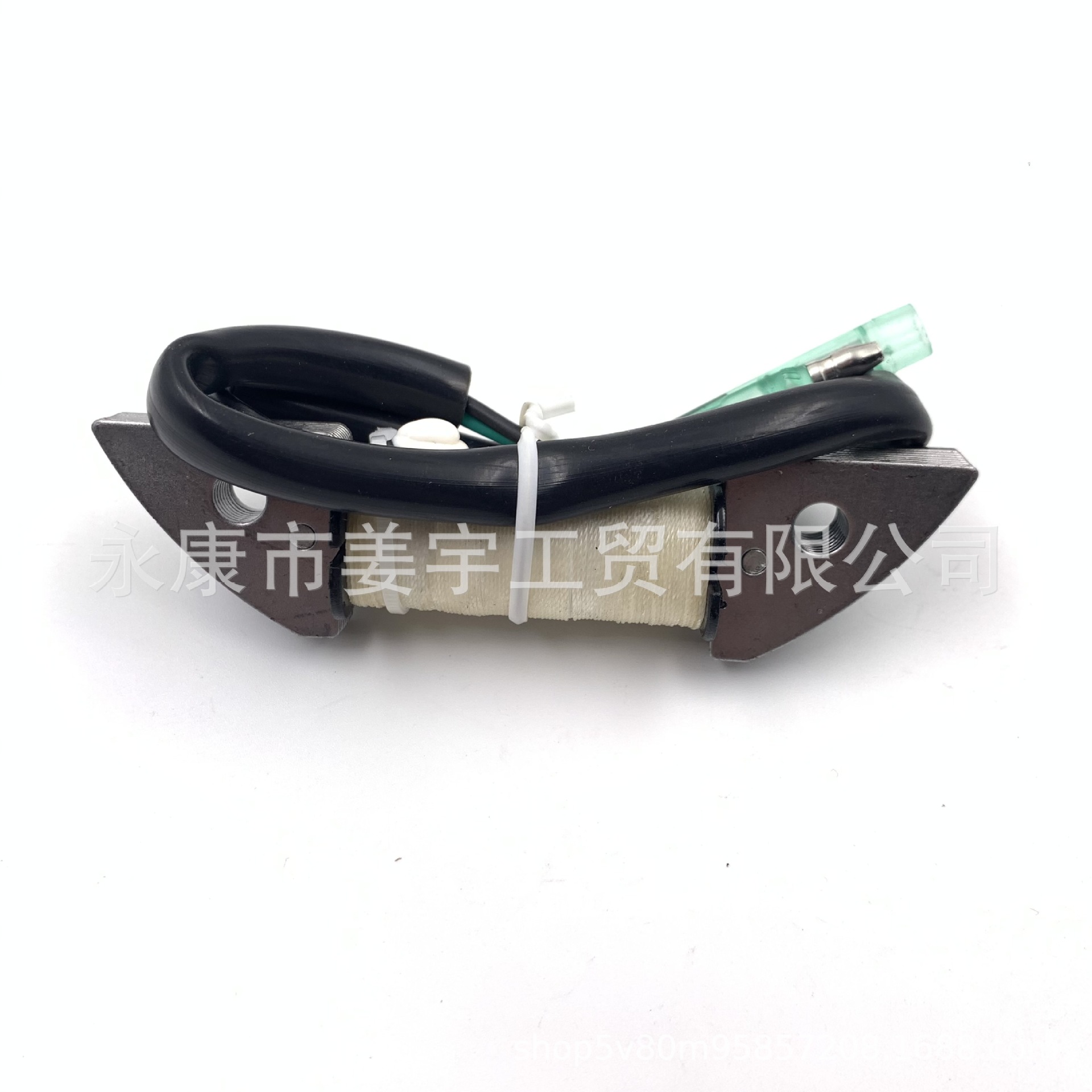 东发M8/9.8B 2冲程配件充电线圈 船外机配件3B2-06123