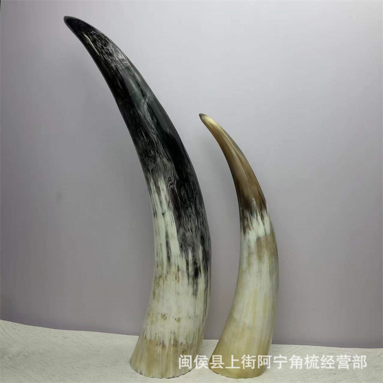 Natural Buffalo Horn Cupping Set 30 Pieces Traditional Massage Tool 30-60cm key features