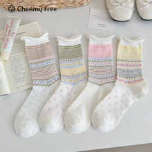 CHEEMY FREE26�����¿�Ѷ���������ͲŮ��С����ѧԺ�Ѷ��޹���