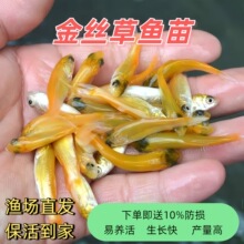 ��z���~��t���~���_˹��z����ˮ�Bֳ���^�pʳ���~�ͺ�