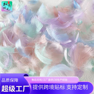 ���l��ɫС��ëС�h�Zë��Y���c��̨�bY�жY����䲶���W����