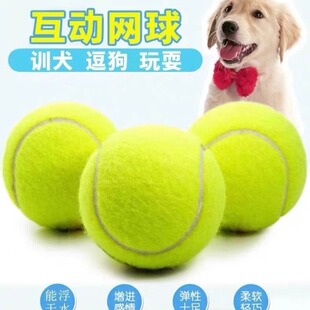 ������������˽␞��������߅����ë�»���ҧ��Ӗ��ĥ���W�����z