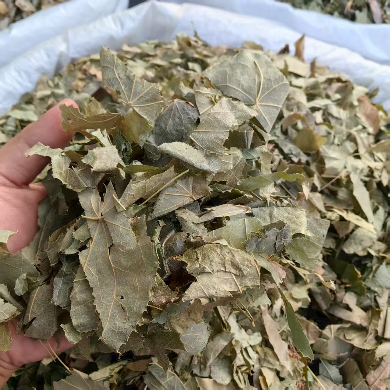 Epimedium Yin Yang Huo Dried Herb Sichuan Origin Traditional TCM Herbal Tea Ingredient 500g 1000g key features