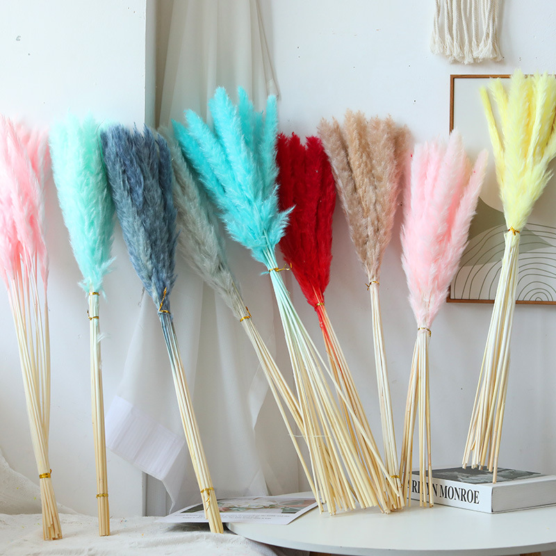 reed Rabbit tail grass Whisk Nordic Home Furnishing decorate Mix and match Dried flowers Bouquet of flowers Amazon Selling Pampas