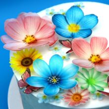 �決�����b�Ŵ�׼�������������Edible Butterfly and Flowers
