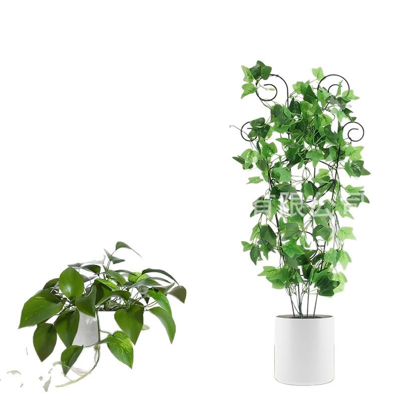 样品亚马逊户外盆栽植物支架植物攀爬架创意双层叠高插花架爬藤架